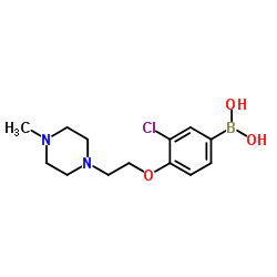 (3-chloro-4-(2-(4-Methylpiperazin-1-yl)ethoxy)phenyl)boronic acid picture