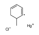 chloro-(6-methylcyclohexa-1,3-dien-1-yl)mercury结构式