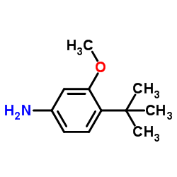 3-Methoxy-4-(2-methyl-2-propanyl)aniline结构式