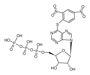 (S-dinitrophenyl)-6-mercaptopurine riboside triphosphate结构式