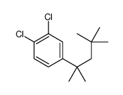 1,2-dichloro-4-(2,4,4-trimethylpentan-2-yl)benzene Structure