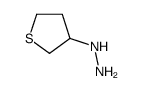 thiolan-3-ylhydrazine结构式