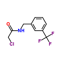 2-Chloro-N-[3-(trifluoromethyl)benzyl]acetamide结构式