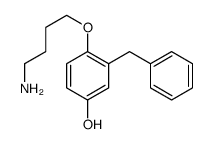 4-(4-aminobutoxy)-3-benzylphenol Structure