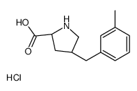 (2S,4R)-4-(3-METHYLBENZYL)PYRROLIDINE-2-CARBOXYLIC ACID HYDROCHLORIDE Structure