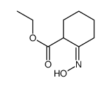 ethyl 2-hydroxyiminocyclohexane-1-carboxylate结构式