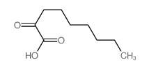 Nonanoic acid, 2-oxo-结构式