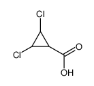 Cyclopropanecarboxylic acid, 2,3-dichloro- (9CI) Structure