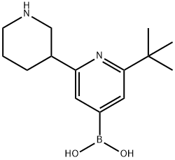 2-(tert-Butyl)-6-(piperidin-3-yl)pyridine-4-boronic acid结构式