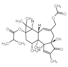 12-deoxyphorbol 13-isobutyrate 20-acetate结构式