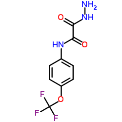 2-Hydrazino-2-oxo-N-[4-(trifluoromethoxy)phenyl]acetamide Structure