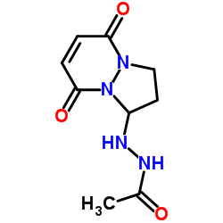 N'-(5,8-Dioxo-2,3,5,8-tetrahydro-1H-pyrazolo[1,2-a]pyridazin-1-yl)acetohydrazide结构式