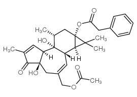 12-deoxyphorbol 13-phenylacetate 20-acetate Structure