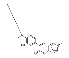 (8-methyl-8-azoniabicyclo[3.2.1]octan-3-yl) 2-(4-tert-butylphenyl)prop-2-enoate,chloride Structure