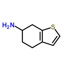 4,5,6,7-TETRAHYDROBENZO[B]THIOPHEN-6-AMINE Structure