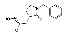 2-(1-benzyl-2-oxopyrrolidin-3-yl)-N-hydroxyacetamide结构式