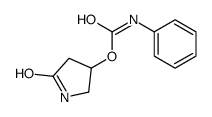 (5-oxopyrrolidin-3-yl) N-phenylcarbamate Structure