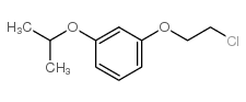 1-(2-chloroethoxy)-3-propan-2-yloxybenzene图片