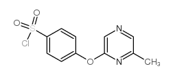 4-(6-methylpyrazin-2-yl)oxybenzenesulfonyl chloride Structure