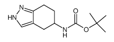 (+/-)-(4,5,6,7-Tetrahydro-2H-indazol-5-yl)-carbamic acid tert-butyl ester结构式