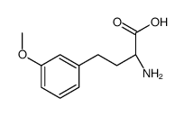 (2S)-2-amino-4-(3-methoxyphenyl)butanoic acid Structure