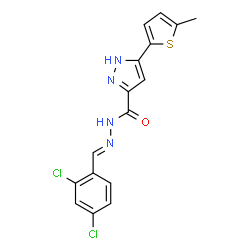 N'-[(E)-(2,4-dichlorophenyl)methylidene]-3-(5-methylthiophen-2-yl)-1H-pyrazole-5-carbohydrazide picture