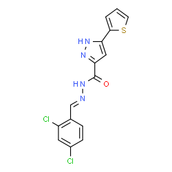 (E)-N-(2,4-dichlorobenzylidene)-3-(thiophen-2-yl)-1H-pyrazole-5-carbohydrazide picture