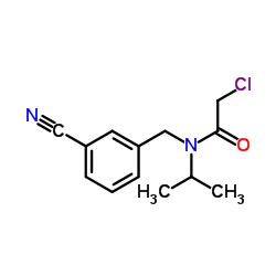 2-Chloro-N-(3-cyanobenzyl)-N-isopropylacetamide Structure