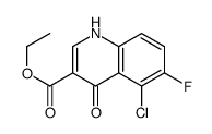 ethyl 5-chloro-6-fluoro-4-oxo-1H-quinoline-3-carboxylate结构式