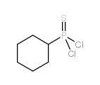 CYCLOHEXYLPHOSPHONOTHIOIC DICHLORIDE picture