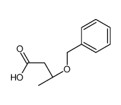 (S)-3-(BENZYLOXY)BUTANOIC ACID结构式