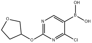 4-Chloro-2-(tetrahydrofuran-3-yloxy)pyrimidine-5-boronic acid picture