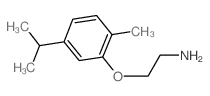 2-(5-Isopropyl-2-methyl-phenoxy)-ethylamine picture