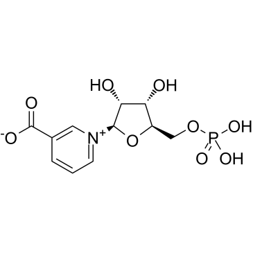 烟酸单核苷酸图片