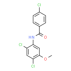 4-CHLORO-N-(2,4-DICHLORO-5-METHOXYPHENYL)BENZENECARBOXAMIDE Structure