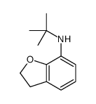 N-tert-butyl-2,3-dihydro-1-benzofuran-7-amine Structure