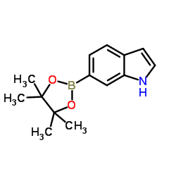 Indole-6-boronic acid pinacol ester picture
