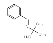 N-Benzylidene-tert-butylamine Structure