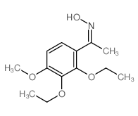 (NZ)-N-[1-(2,3-diethoxy-4-methoxy-phenyl)ethylidene]hydroxylamine Structure