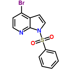4-BROMO-1-(PHENYLSULFONYL)-1H-PYRROLO[2,3-B]PYRIDINE picture