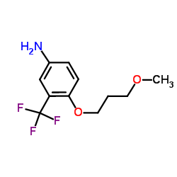 4-(3-Methoxypropoxy)-3-(trifluoromethyl)aniline Structure