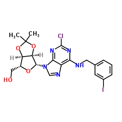 2-氯-N-[(3-碘苯基)甲基]-2',3'-O-(1-甲基亚乙基)腺苷结构式