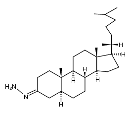 hydrazone of 3-cholestanone结构式