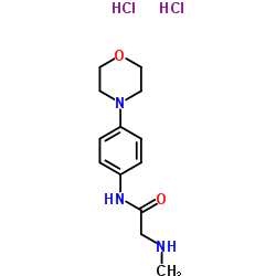 2-(METHYLAMINO)-N-(4-MORPHOLIN-4-YLPHENYL)ACETAMIDE DIHYDROCHLORIDE结构式
