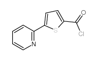 5-(2-吡啶基)-2-噻吩羰酰氯图片