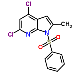 1-(Phenylsulfonyl)-4,6-dichloro-2-Methyl-7-azaindole structure