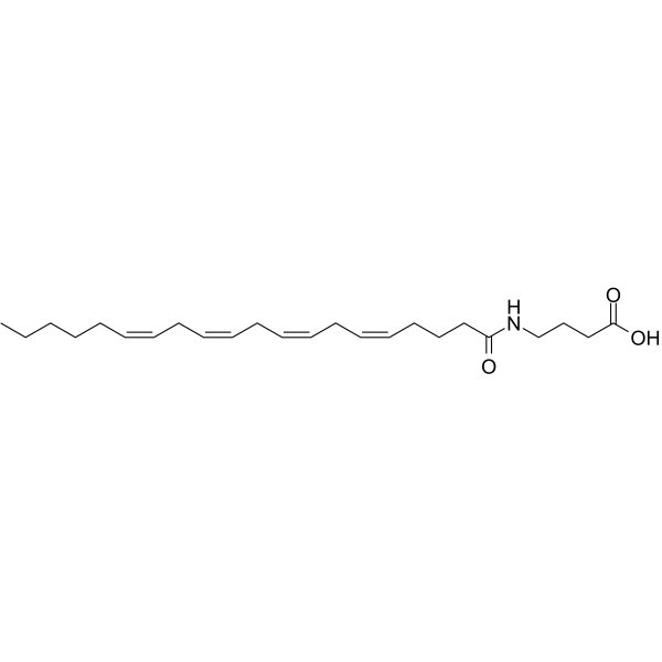 N-花生酰-γ-氨基丁酸图片