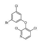 3-(3-bromo-5-chlorophenoxy)-2,4-dichloropyridine结构式