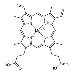 Mg(II) protoporphyrin IX structure