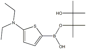 5-(Diethylamino)thiophene-2-boronic acid pinacol ester结构式